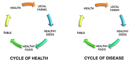 Cycle of health and Cycle of Disease