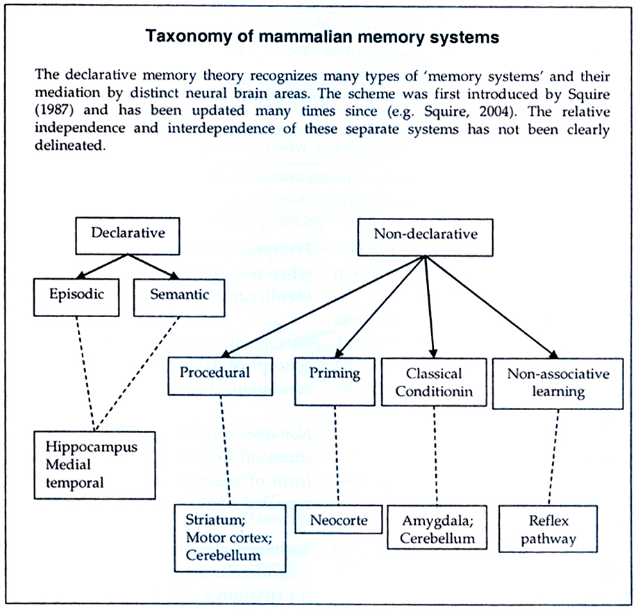declarative memory
