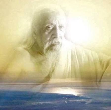 Featured article: Why does Man Question Himself?*