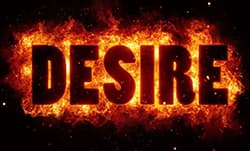 The Anatomy of Desire